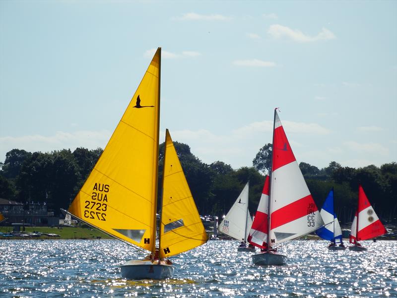 Boats with yellow and red and white sails out out on the water