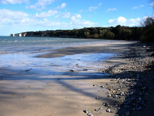 A beach at Studland in Dorset