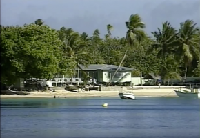 Palm trees and sandy beaches on an atoll in the Marshall Islands