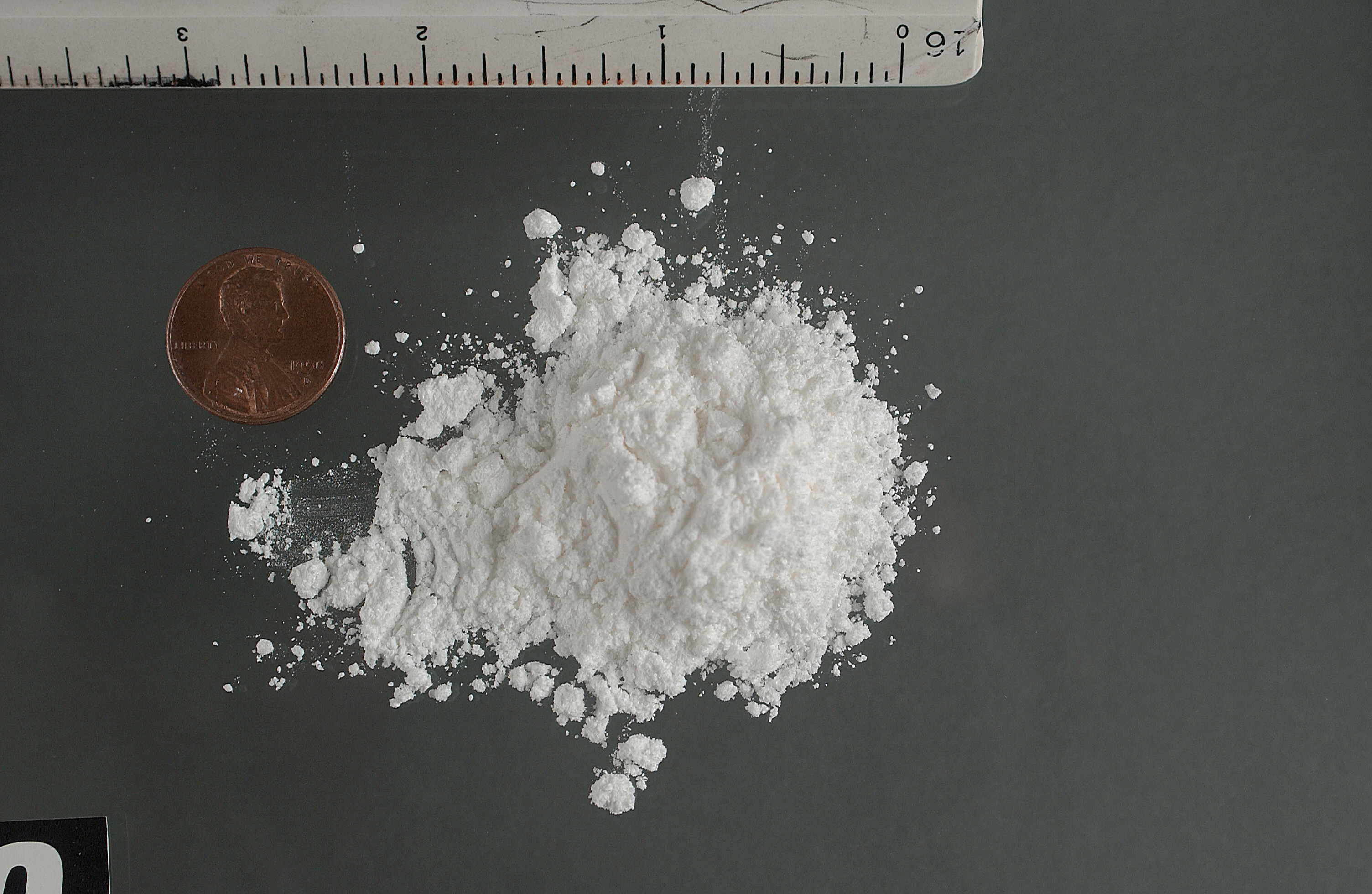 white powder cocaine displayed next to a ruler