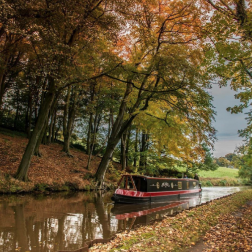 A red narrowboat cruising along a canal littered with autumn leaves