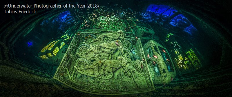 Underwater photographer of the year 2018