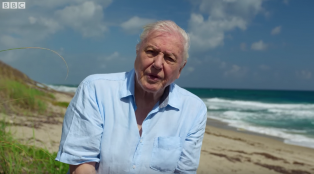 David Attenborough Blue Planet yacht