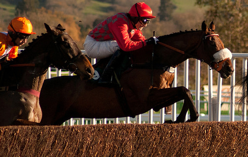 Cheltenham Festival. Jump racing