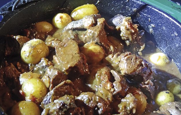 Fireside venison stew