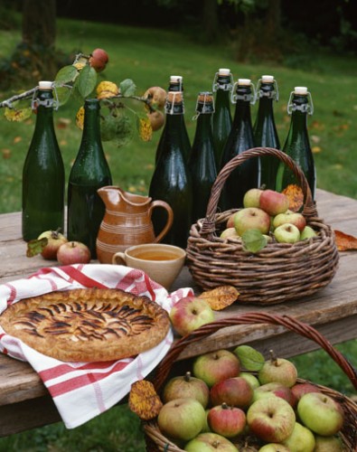 How to make cider and juices at home Homemade apple juice Frosts Garden