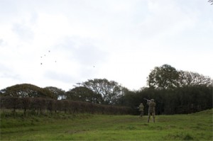 Slebech armed maraud