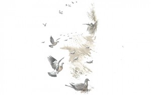 Pigeon Shooting In Scotland - Hunting Scotland - Foto 3