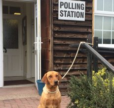 #dogsatpollingstations