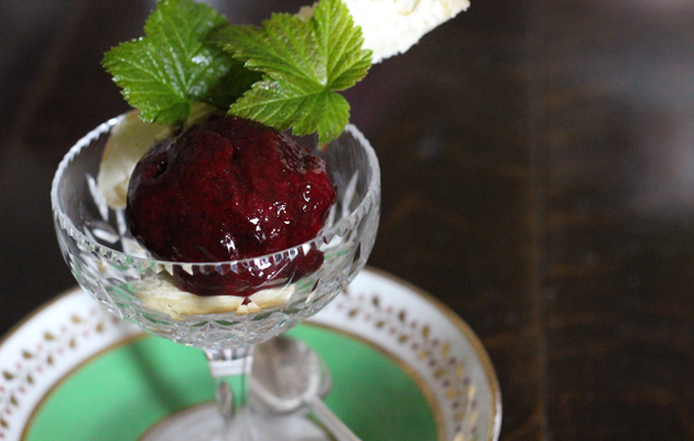 Blackcurrant sorbet