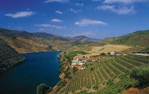 Douro Valley Port