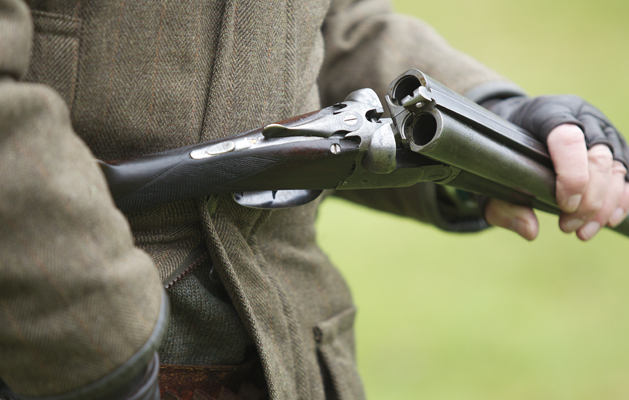 Which is the best month to shoot?