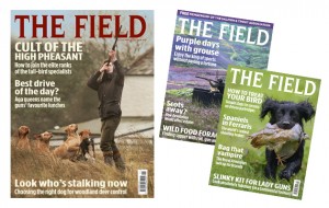 The Field subscription