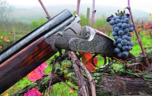 Fabbri Italian gunmakers. Fabbri shotgun