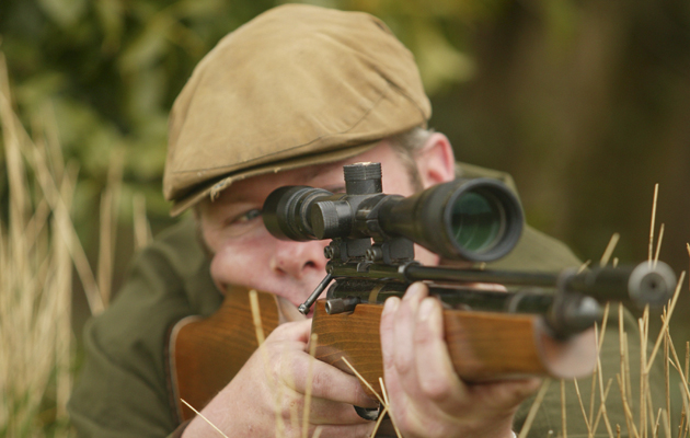 What Are The Considerations For The Correct Purchase Of Airguns Online