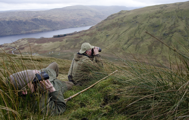 Scottish Land Reform.