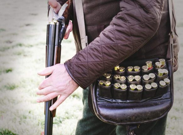 Shotgun and cartridges