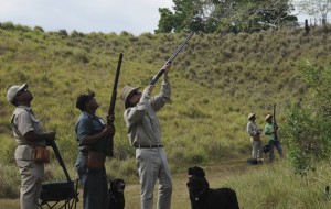 All rounders. Top Shots 2015. Jose Fanjul