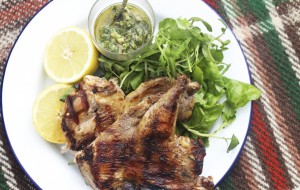 Spatchcocked pheasant with lemon and herbs.