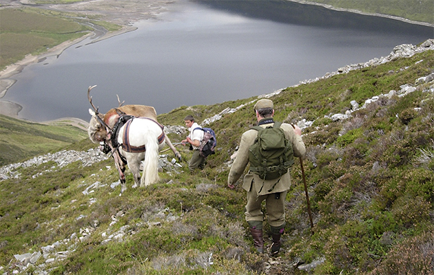 Where to go stalking in Scotland in 2016.