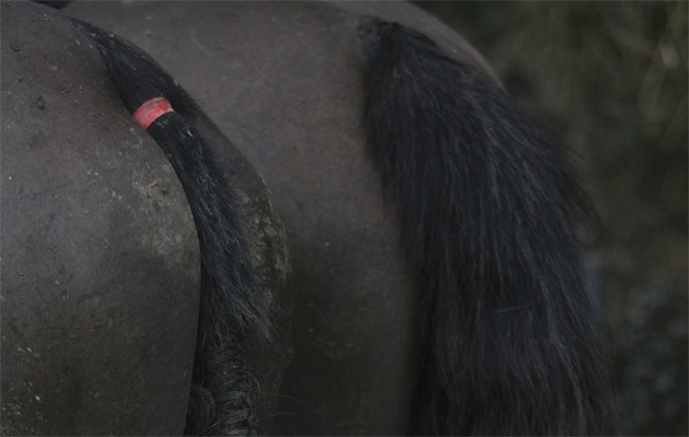 Be sure the 7 deadly hunting sins don't find you out.