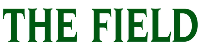 Food And Drink The Field Food And Drink The Field