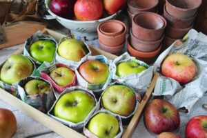 storing apples