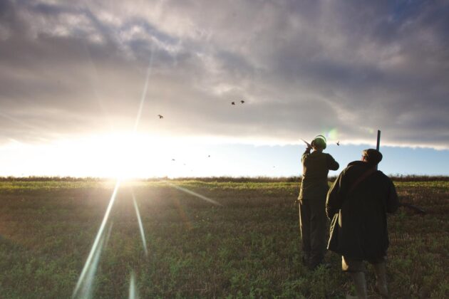 shooting in sunlight