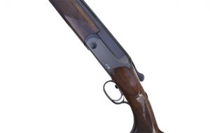 Blaser F16 Game