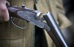 Bloom hearing specialists