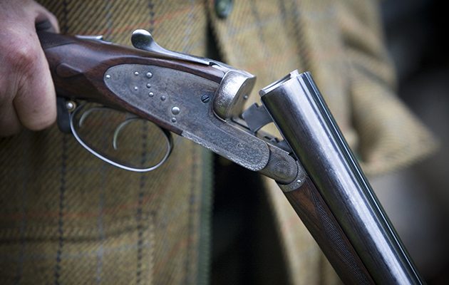 Bloom hearing specialists