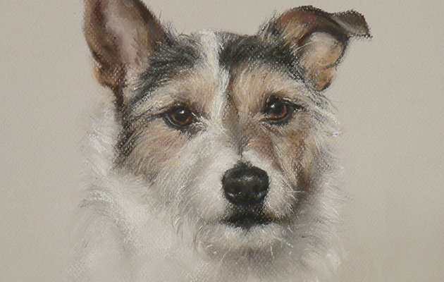 Kate Brooks. Terrier