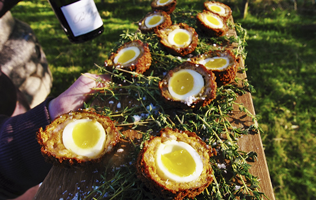 Pheasant scotch quails eggs