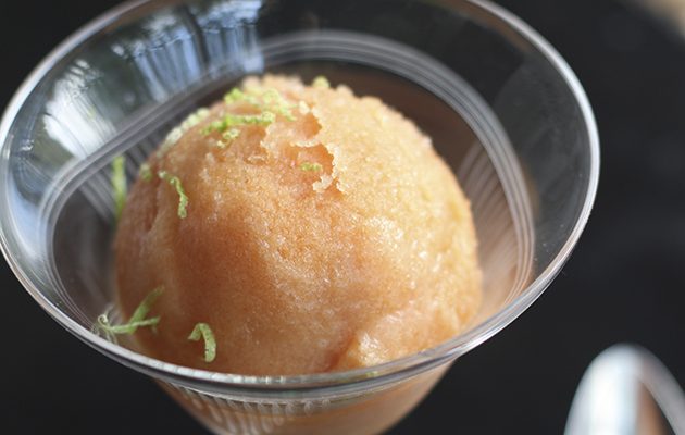 Blood orange, cardamom and tequila sorbet