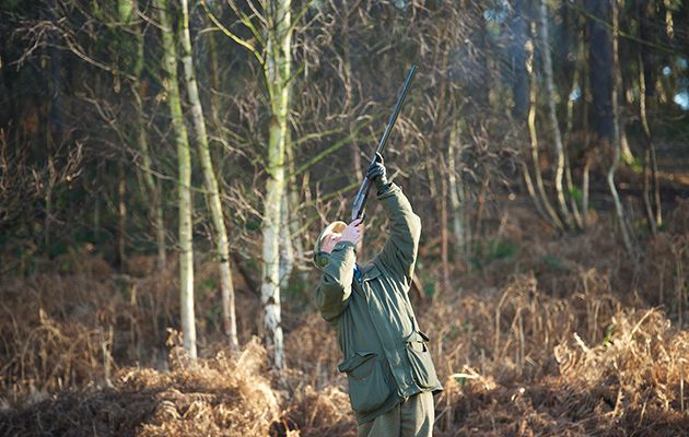 Bloom hearing specialists