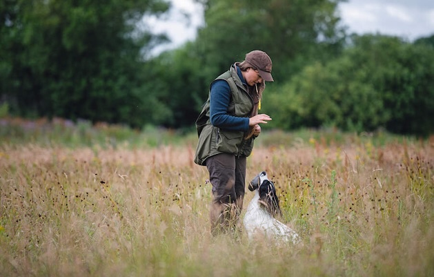 gundog training