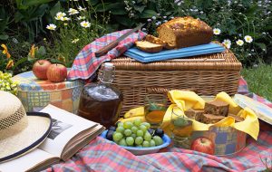 National Picnic Week