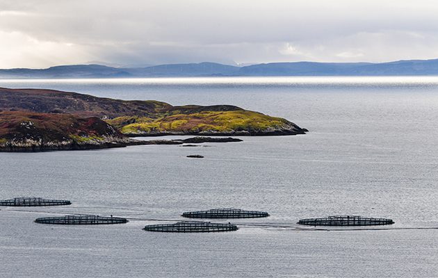 Sustainable seafood production