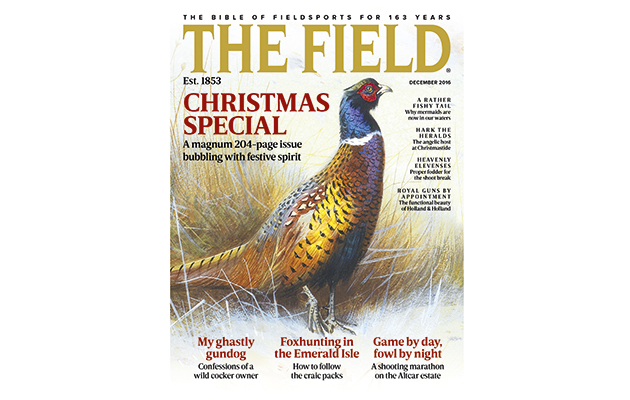 Christmas gift guide for men