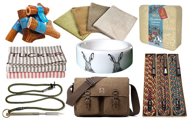Christmas gift guide for dogs