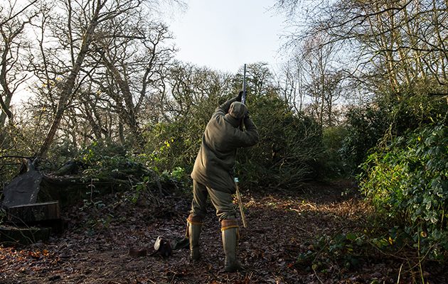 Easy shooting exercises