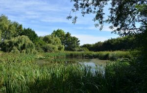 Conservation farmers