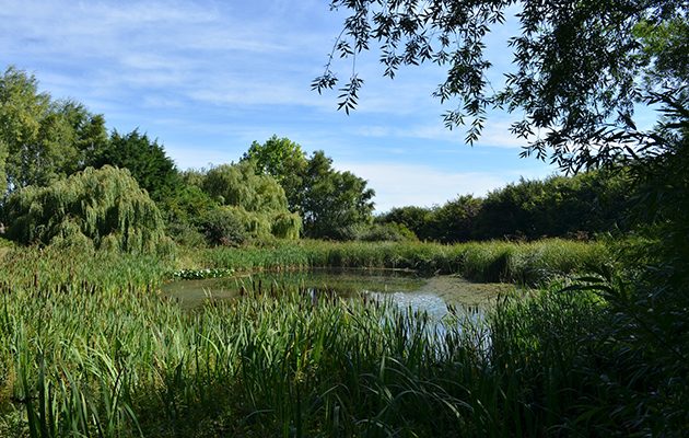 Conservation farmers