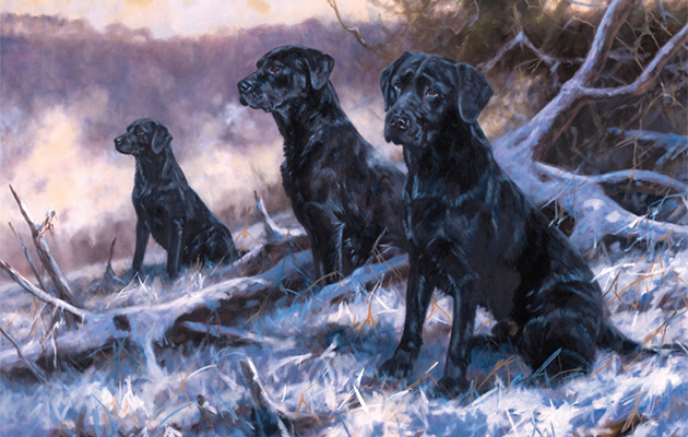 Best country Christmas cards