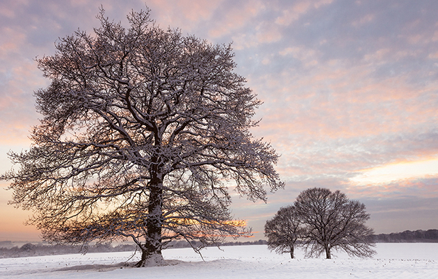 Best country Christmas cards