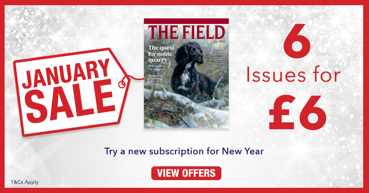 The Field subscription sale