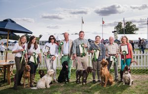 The Field Gundog Awards