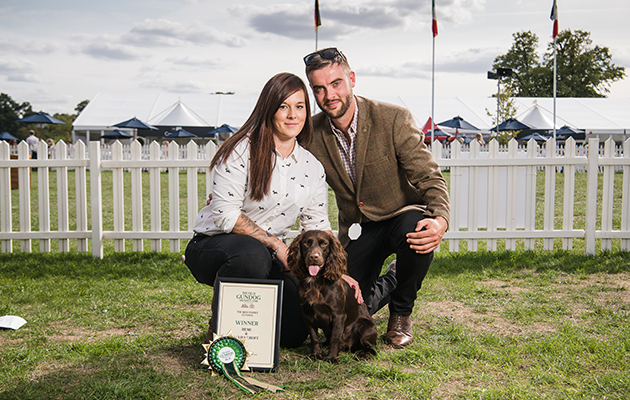 The Field Gundog Awards