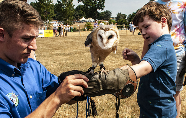 The Game Fair 2019