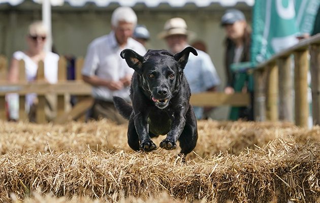 The Game Fair 2019